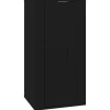 vidaXL TV-Wandschrank Schwarz 40x34,5x80 cm