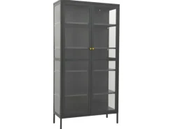 vidaXL Vitrine Anthrazit 90x40x180 cm Stahl und Gehärtetes Glas