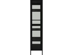 vidaXL Vitrine Schwarz 90x40x180 cm Stahl und Gehärtetes Glas