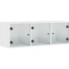 vidaXL Wandschrank mit Glastüren Weiß 102x37x35 cm