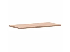 vidaXL Waschtischplatte 100x50x2,5 cm Massivholz Buche Modelll 1