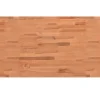 vidaXL Waschtischplatte 100x60x4 cm Massivholz Buche