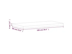 vidaXL Waschtischplatte 100x60x4 cm Massivholz Buche