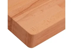 vidaXL Waschtischplatte 100x60x4 cm Massivholz Buche