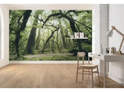 Vlies Fototapete Ancient Green 450x280 cm