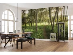 Vlies Fototapete Blütenzauberwald 450x280 cm