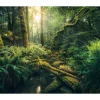 Vlies Fototapete Elves Cathedral 450x280 cm