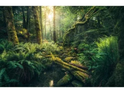 Vlies Fototapete Elves Cathedral 450x280 cm