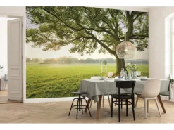 Vlies Fototapete The Magic Tree 450x280 cm