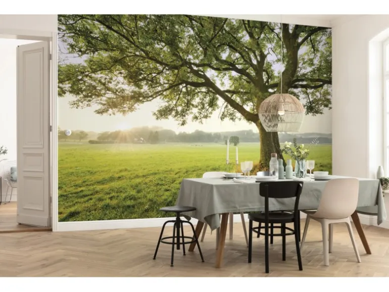 Vlies Fototapete The Magic Tree 450x280 cm