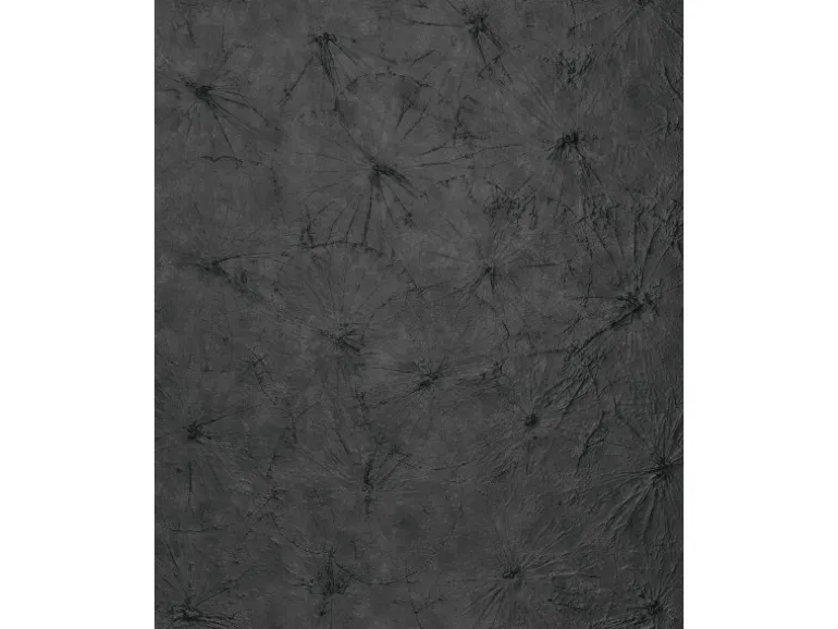 WALLFACE 24963 LOTUS CLASSY Black Wandverkleidung mit Natur Dekor Seidenmatt Anthrazit 2,6 m2 2600 x 1000 x 3,43 Anthrazit